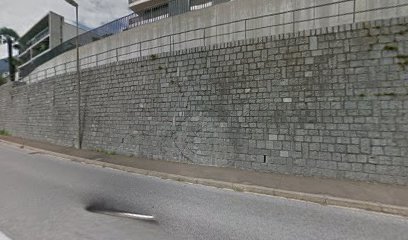 Francesca Estrada Daniele - Fisioterapista diplomata foto 