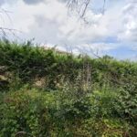 Studio Fisioterapico Di Piergiovanni Giuliano E Bernardini Milena foto