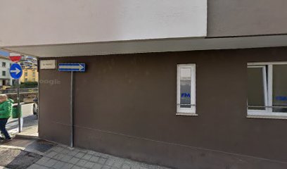 FisioterapicaMente studio fisioterapico di Silvia Tognolina foto