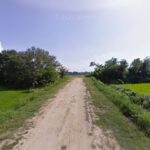 Fisioterapia gifaa foto