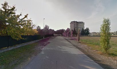 Dott. Lorenzo Zanoni, Osteopata foto 