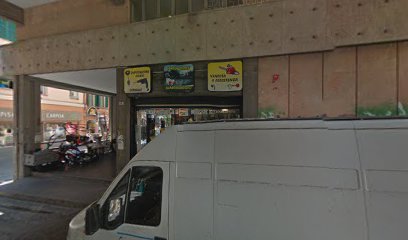 AIFiMM Associazione Italiana Fisioterapisti per lo studio e lo sviluppo del Metodo Mezieres foto 