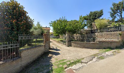 Fisioterapia Osteopatia Angelini foto 