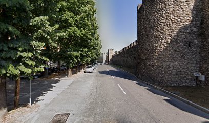 Dott.ssa Ilaria Falsini foto 