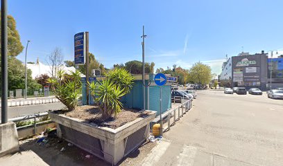 Dott. Dario Scalesse Bianchini, Osteopata foto 