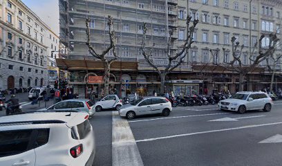 Spehar Dr. Fabio - Fisioterapia Triestina foto 