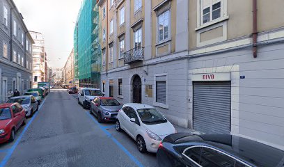 Massotrax – Trieste