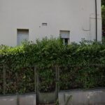 Bendandi - Fisioterapia e Medicina foto