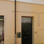 Dott.SSA Sara Vignoli foto