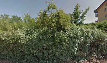 Studio Posturale Riabilitativo Dr. Mariano Cardamone foto 