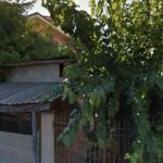 Fisioterapista Dott.ssa Raffaella Galiffa foto