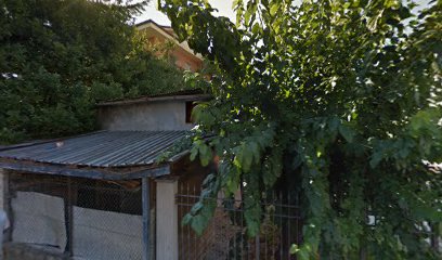 Fisioterapista Dott.ssa Raffaella Galiffa foto 