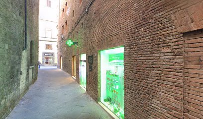 Fisioterapista Francesca De Michelis foto