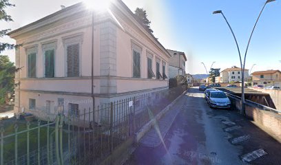 TERAPIA OCCUPAZIONALE LUCCA foto