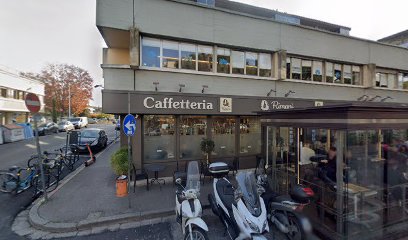 Fisioterapista Dr. Guidotti foto 