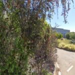 Dott. Luca Volpe, Fisioterapiasta foto