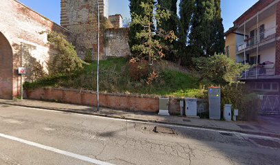 Fisioterapista Dott.ssa Martina Mantovani foto