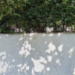 Fisioterapista Giulia Bertani foto