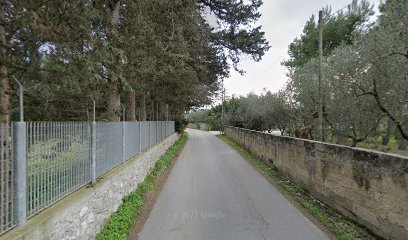 Dr. Fabrizio Brindisino Fisioterapista foto 