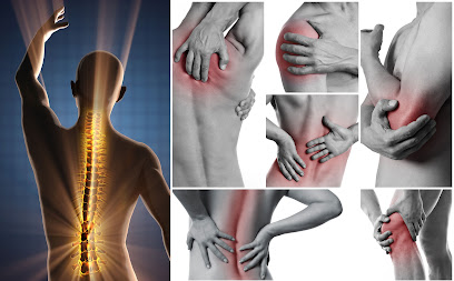 Studio Di Fisioterapia - Fisioanatomy foto 