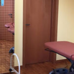 Studio Fisioterapico FisioTau foto