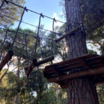 Dott. Dario Della Bartola foto