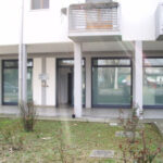 Fisionova di Ballardini Novella foto