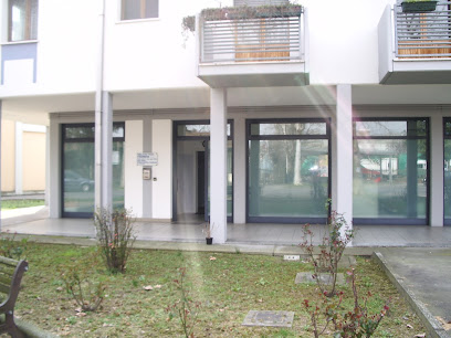 Fisionova di Ballardini Novella foto