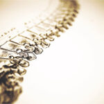 Dott.ssa Stefania Mura Osteopata D.O. & Fisioterapista foto