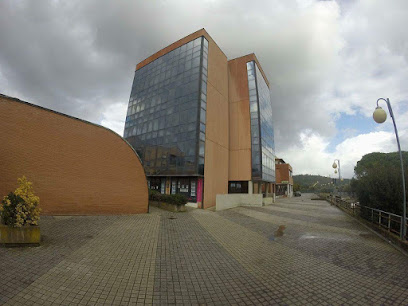 Osteopatia Fisioterapia Begini foto