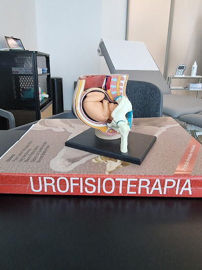 Fisioterapia Pavimento Pelvico Bologna di Maria Di Migueli foto 