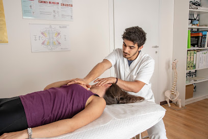 MedyFit Verona – Fisioterapia | Osteopatia | Ginnastica Posturale – Verona