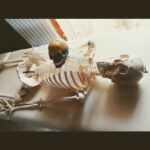 Dott.ssa in Fisioterapia MIRIAM CULMINE foto