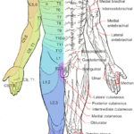 Fisioterapista Dott. Luca Weber foto