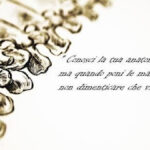 Dott.ssa Massetti Sara Fisioterapista-facilitatore craniosacrale foto