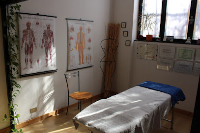 Fisioterapia Osteopatia Milano foto 