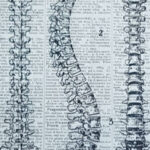 D.O. Alessandro Tamma - Studio di OSTEOPATIA, POSTUROLOGIA e MASSAGGIO foto