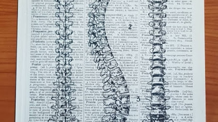 D.O. Alessandro Tamma - Studio di OSTEOPATIA, POSTUROLOGIA e MASSAGGIO foto