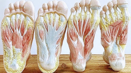 Osteopata Mirko Pratticò – Taggia