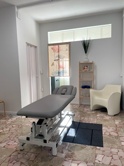 Matteo Ghisini Fisioterapista / Osteopata D.O. foto