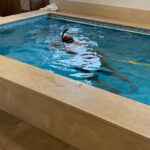 UC Physio - Swim & Therapy foto