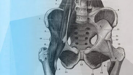 Osteopata D.O. Dott.ssa Selenia Vitellozzi foto 