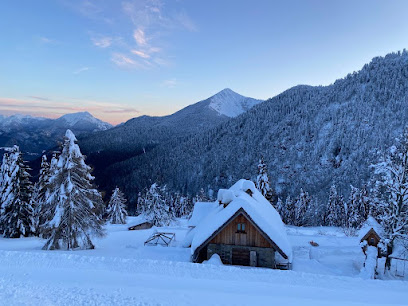 Dott. Francescopaolo Carillo - Fisioterapista Osteopata - Ravenna foto 