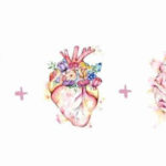 Studio di Fisioterapia - Dott.ssa Stefania Tota ft. OMPT foto