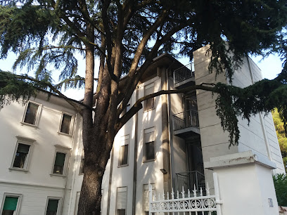 Villa Al Lago Srl foto 