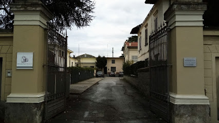 Damiano Abbatantuono fisioterapista foto