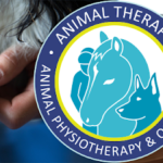 Animal Therapy - Elisabeth Reso foto