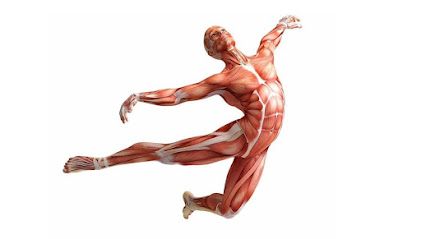 Fisiomedica S.R.L. foto 